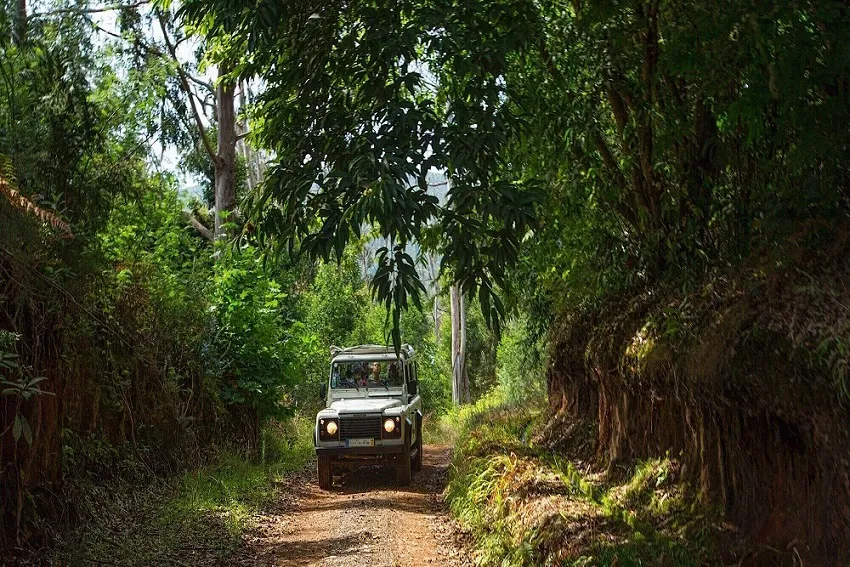 mak-the-fascinating-west-jeep-sa